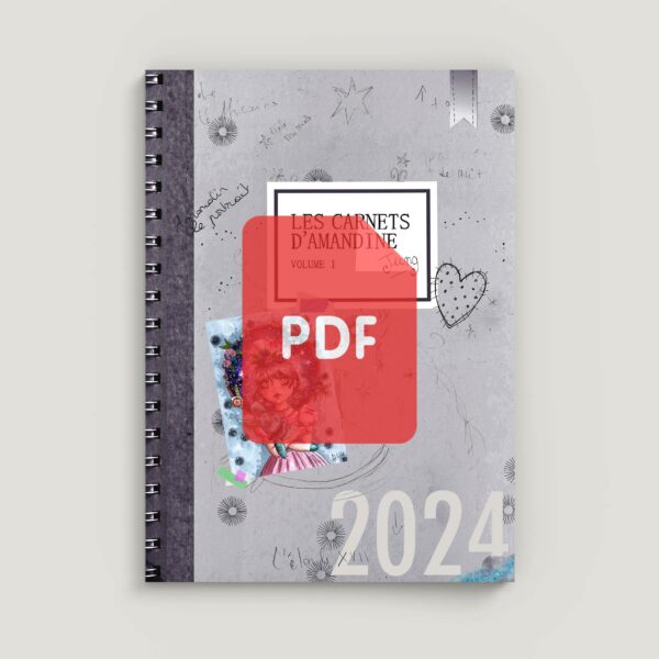 Les Carnets d'Amandine - Volume I